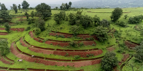 Accelerating Community Wellbeing Cipla